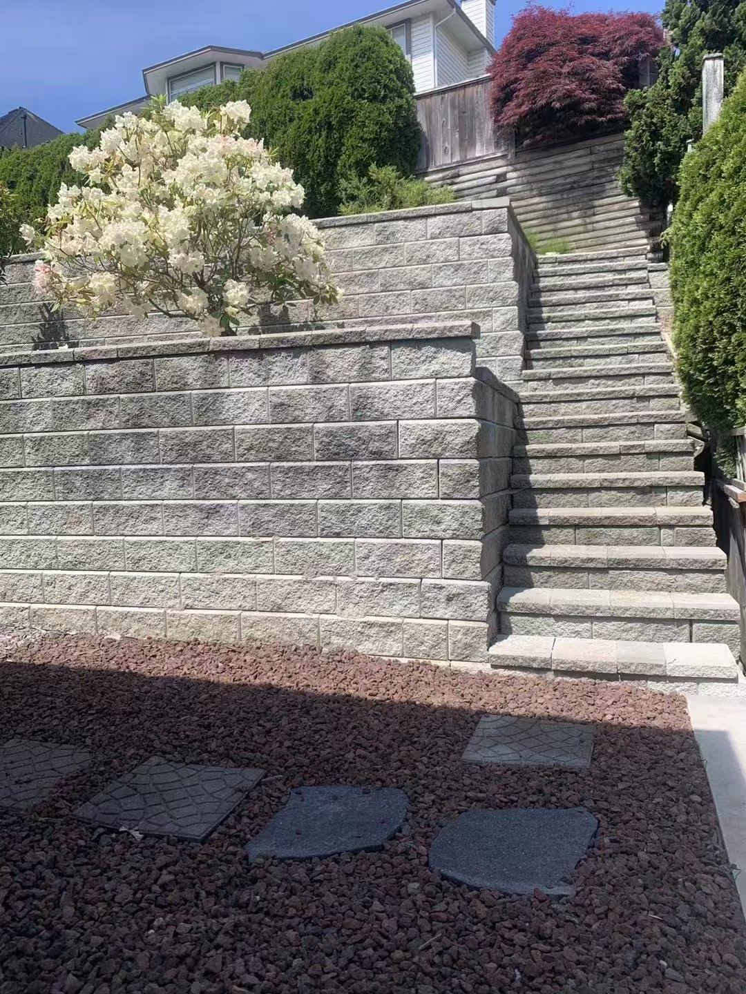 Block retaining wall with stone steps and flowering rhododendron