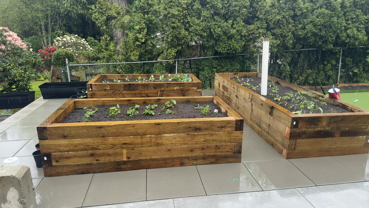 Wooden raised vegetable planter boxes on paved patio